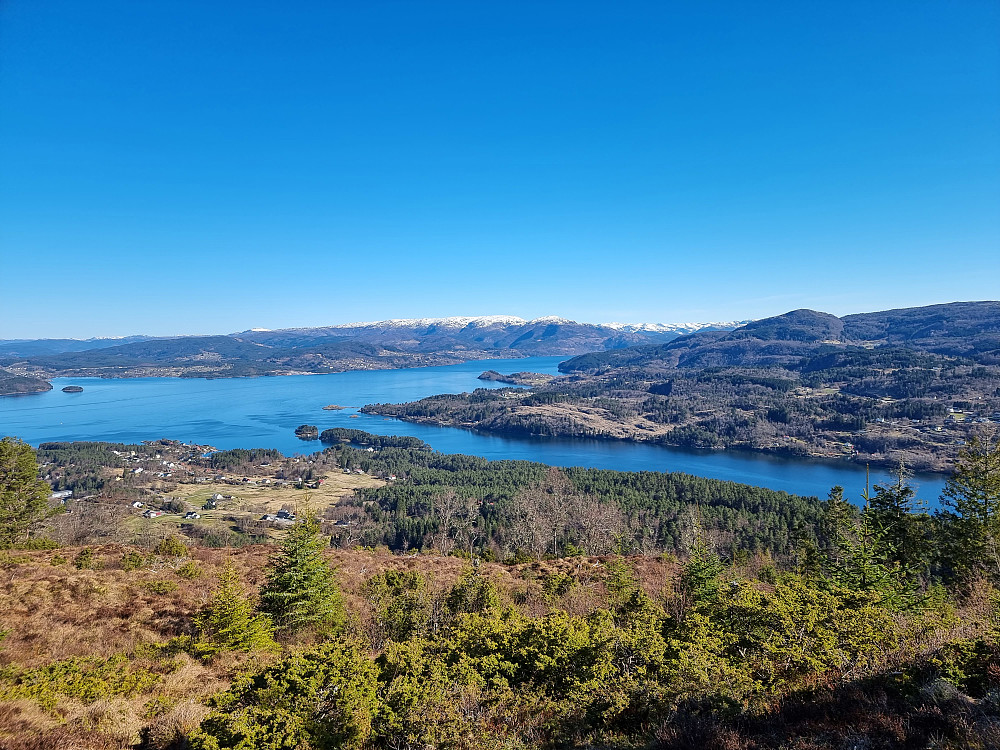 Fra Tirevollsfjellet (Orratuva) mot nordnordøst. Austlendingen bakerst i midten. Til høyre Åsheimveten, med Tveitafjellet såvidt utenfor høyre bildekant.