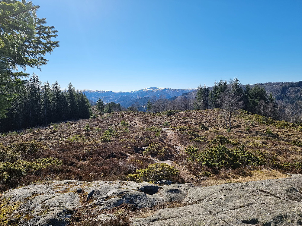 Fra Tirevollsfjellet (Orratuva) mot sørsørvest. Gullfjelltoppen bakerst i midten.
