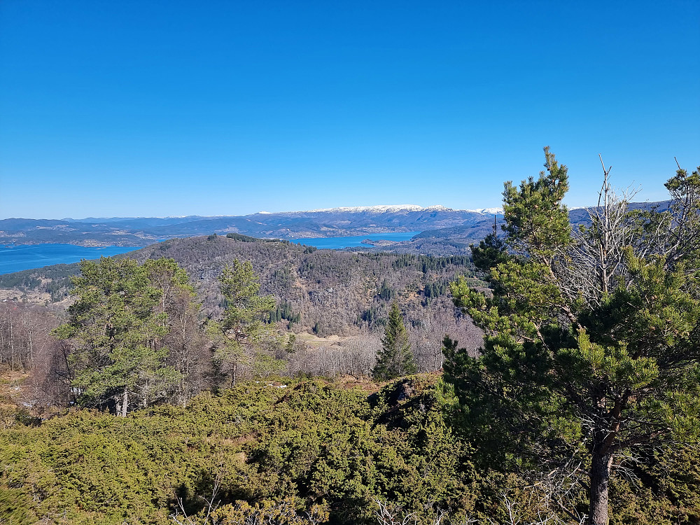 Fra Burkelandsfjellet mot nordnordøst. Austlendingen bakerst til høyre for midten.