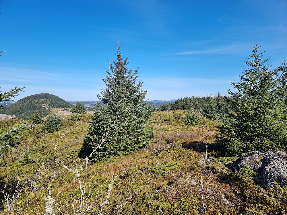 Fra Tveitåsen mot nord. Kolåsen (Kalsåsen) til venstre.