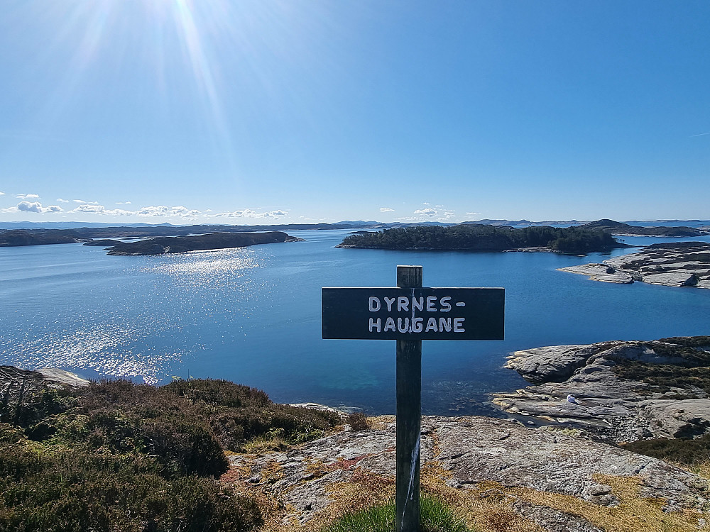 Fra Dyrneshaugane mot sør.