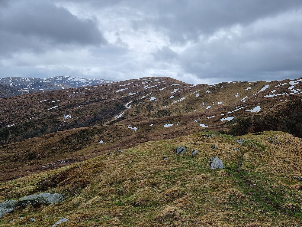 På vei fra Repparåsen til Herlandsfjellet. Gullfjelltoppen bakerst til venstre. Herlandsfjellet i midten.