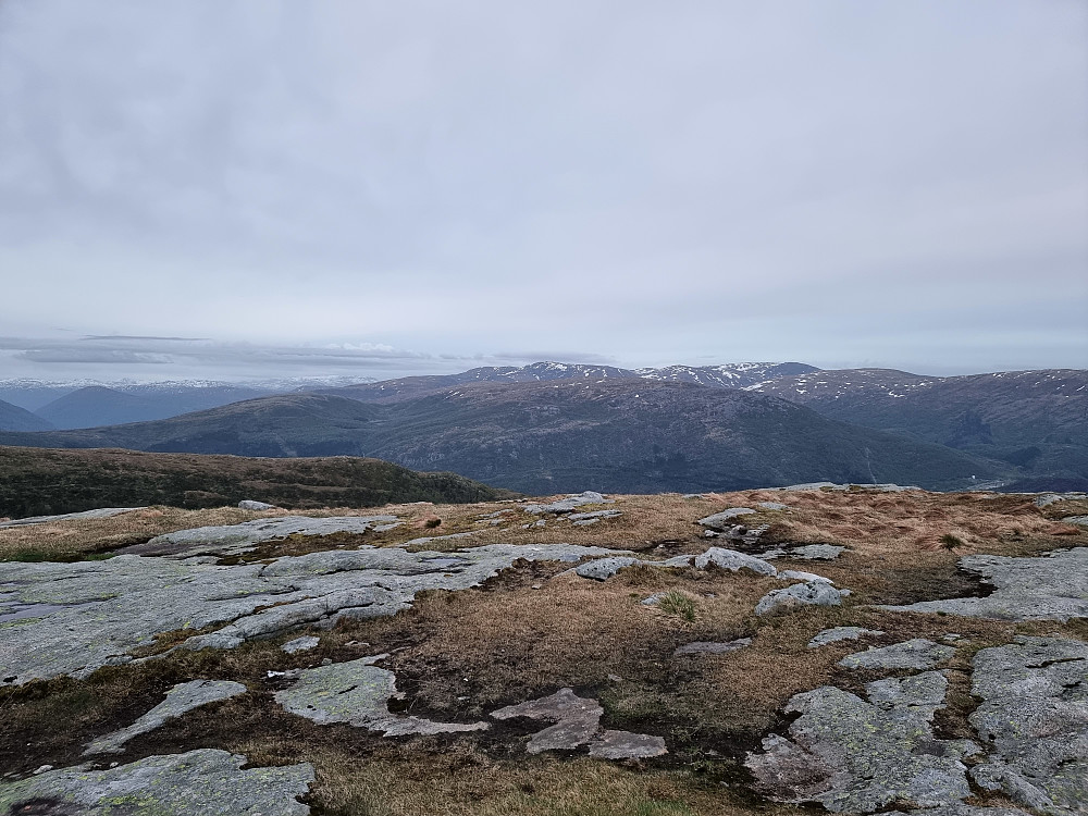 Fra Alfjellet, sør for Vardegga. Gullfjelltoppen bakerst i midten.