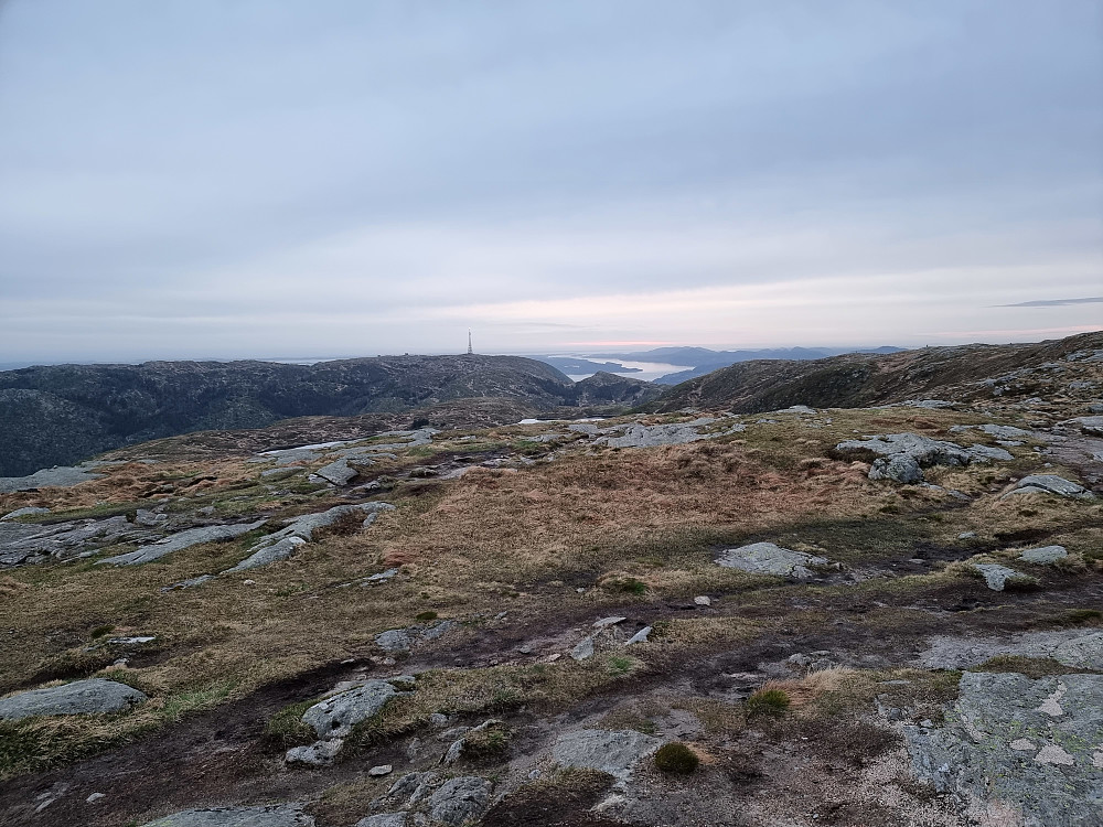Fra Alfjellet, sør for Vardegga. Herdlefjorden i bakgrunnen, med masten på Rundemanen til venstre.