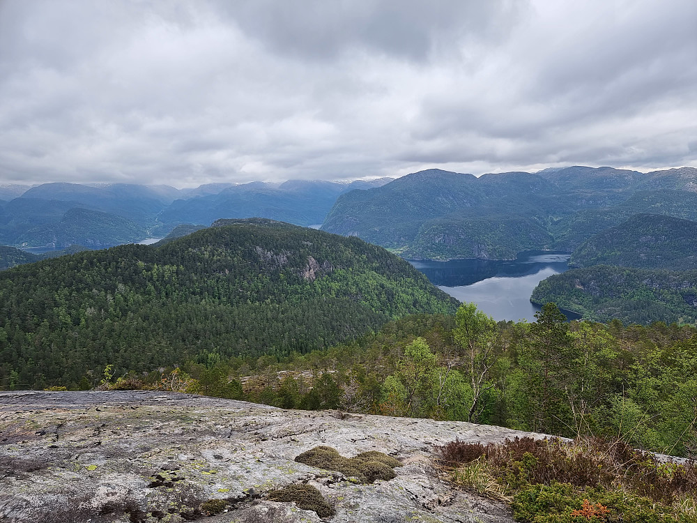 På vei opp til Norafjellet. Vi har kommet over tregrensa og terrenget er lettere mot toppen. Fløyfjellet til venstre.