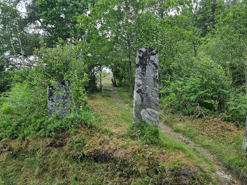 Fin sti på vei til Skåtåsen.