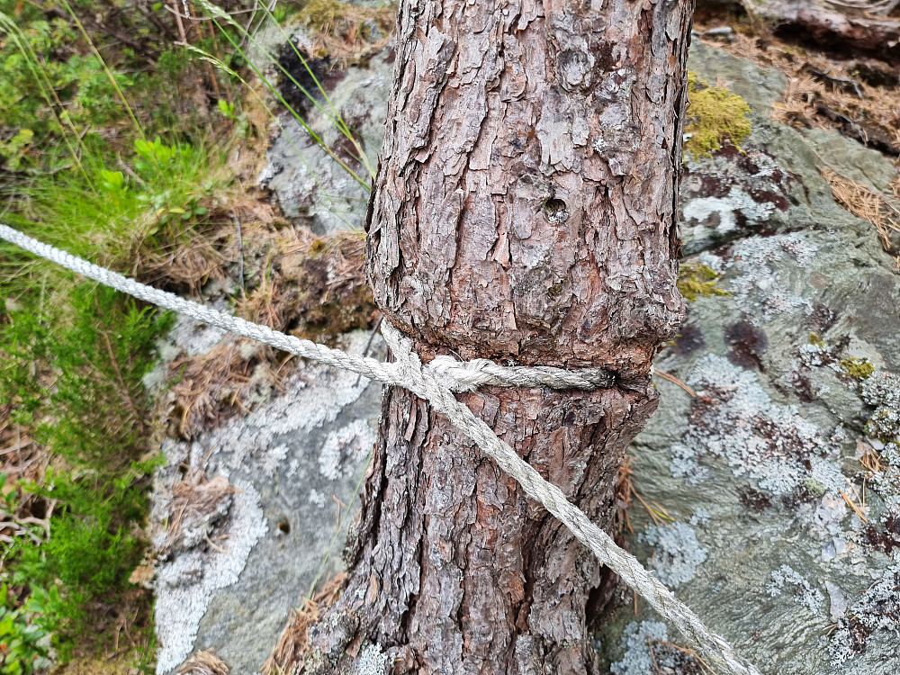 Litt før toppen på Skåtåsen var det satt opp flere tau. Dette tauet har nok hengt her en god stund.