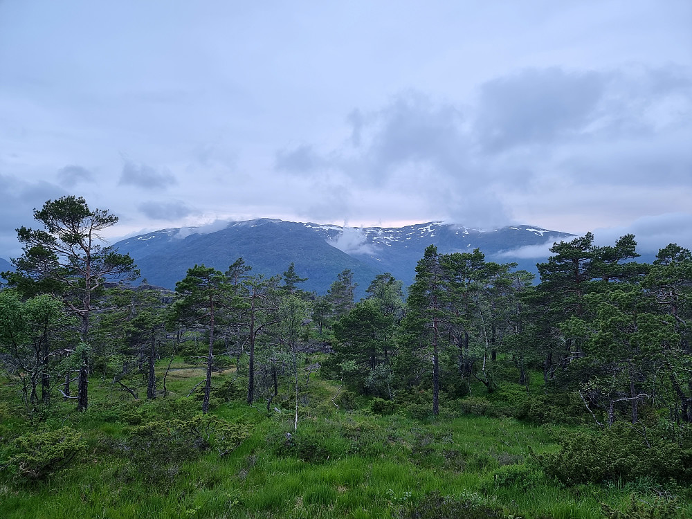 Fra masten som ligger litt vest for Eineråsen (Einaråsen på kartet). Gullfjelltoppen (bak til høyre) er dekket av skyer.