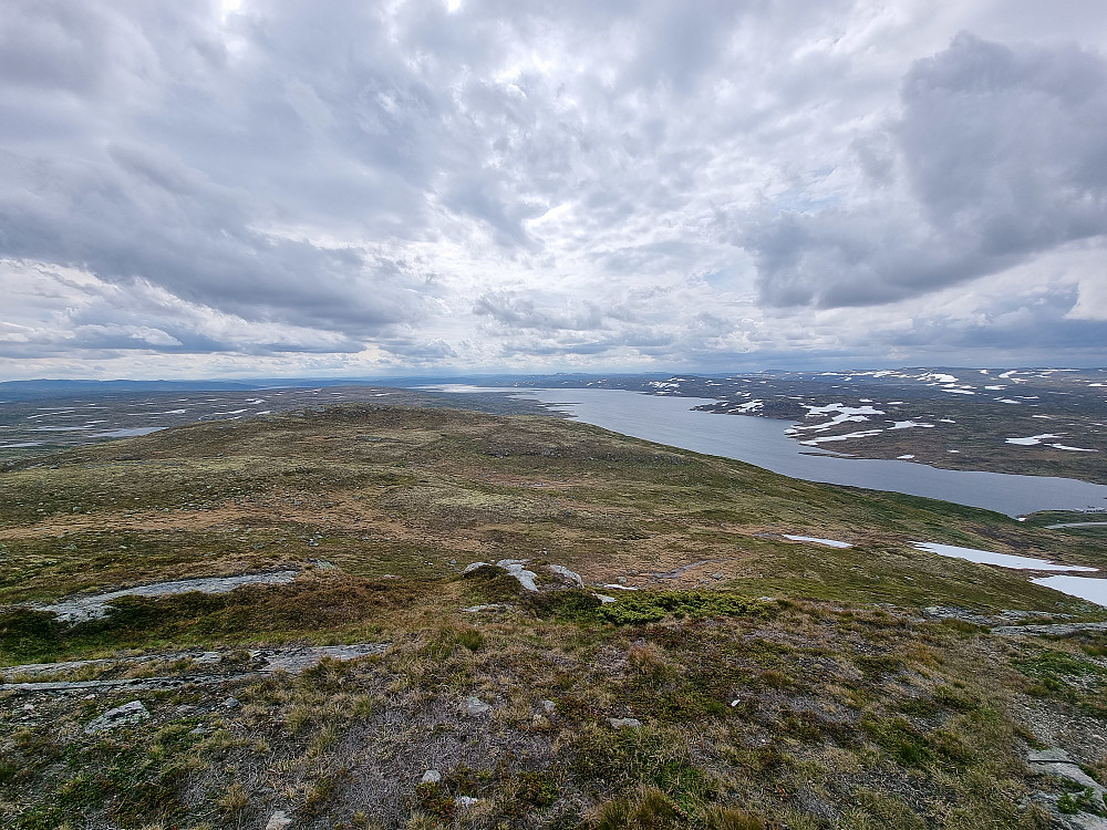Fra Halnekollen mot sørøst. Halnefjorden til høyre.