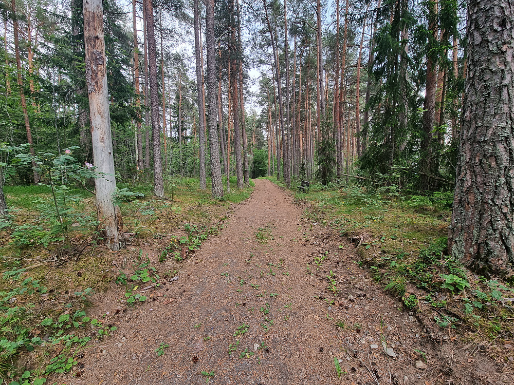 På vei til Leinåsen Vest.