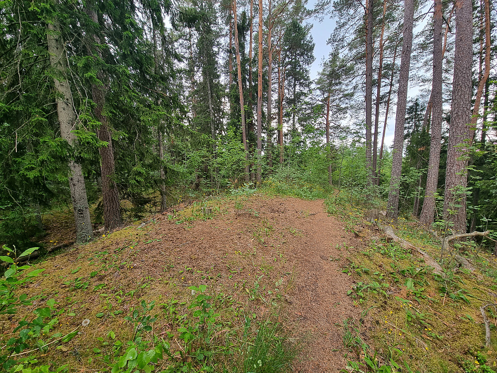 Leinåsen.
