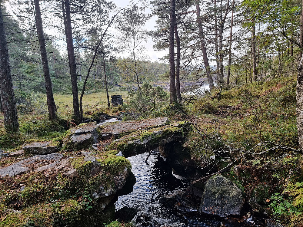 Fin steinbru over bekken som renner ut av Gardstjørna.