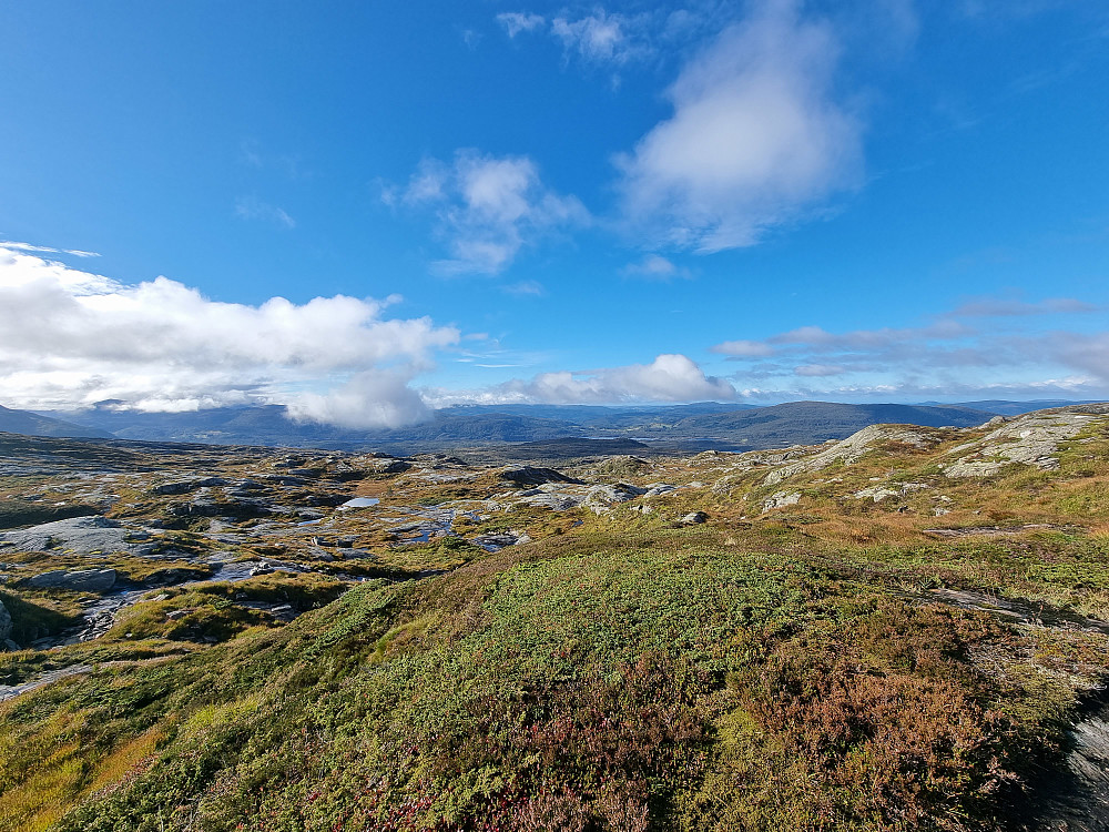 Mellom Bernessætra og Høgafjellet var det fin sti. Terrenget er småkupert.