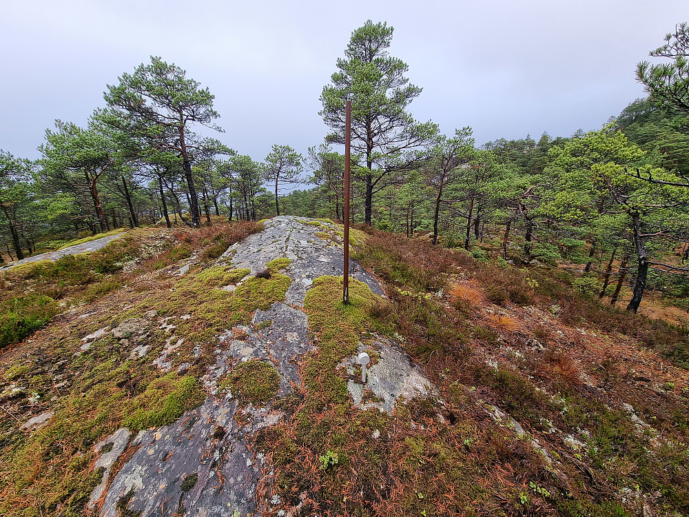 På vei tilbake kom jeg forbi flere slike merker. De sto på linje. Her var det også en slags bolt. Av https://seeiendom.no/ ser det ut til å være en eiendomsgrense som er markert her.