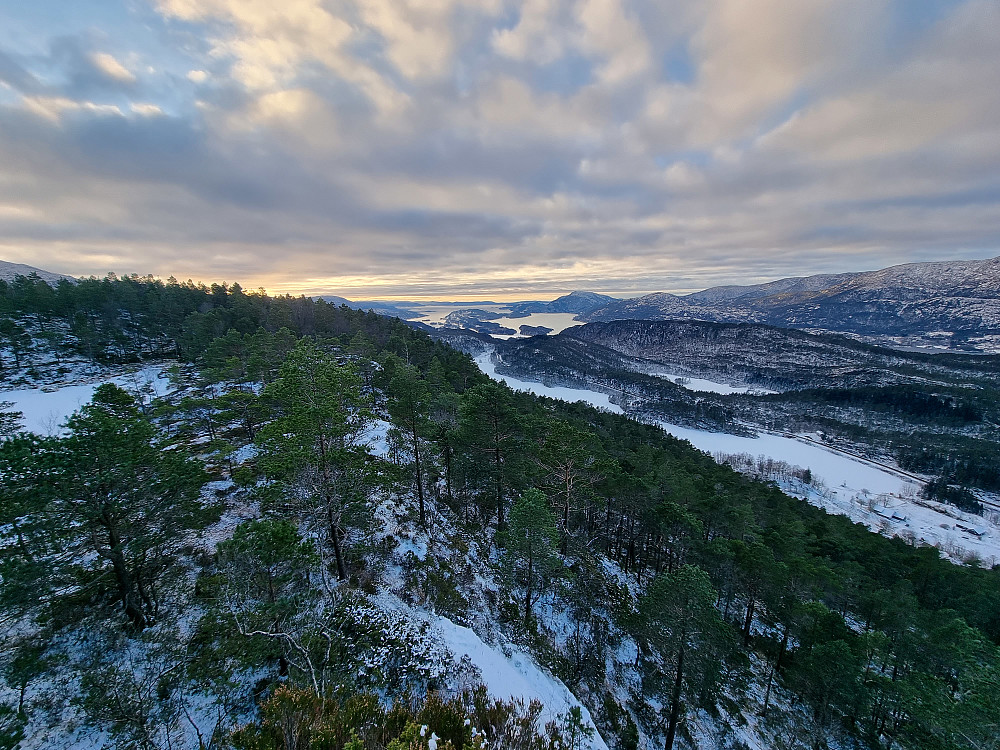 Fra Skonholtet. Bogøya i midten.