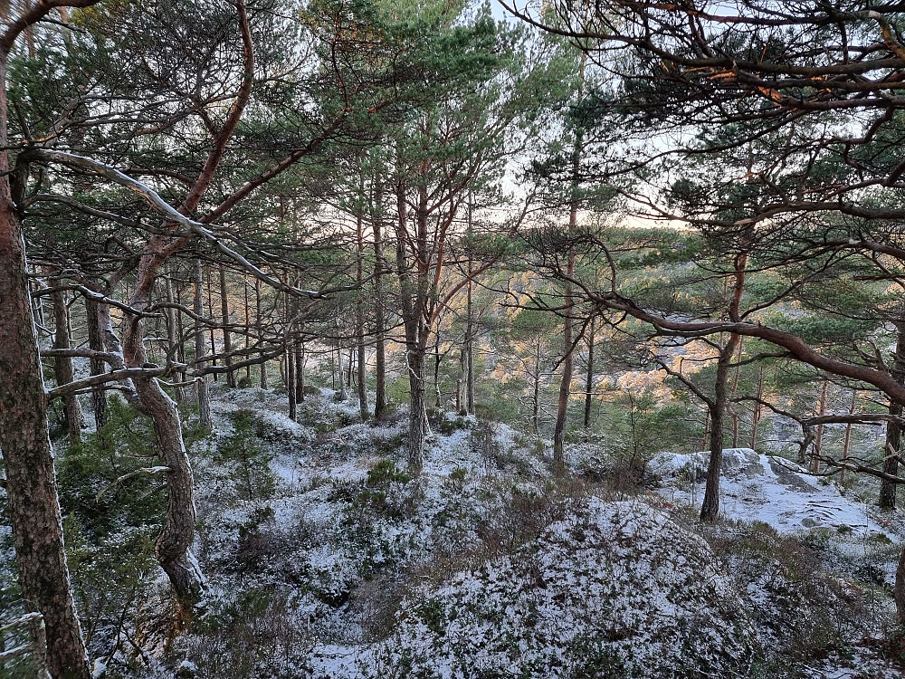 Fra Ørnanipo.