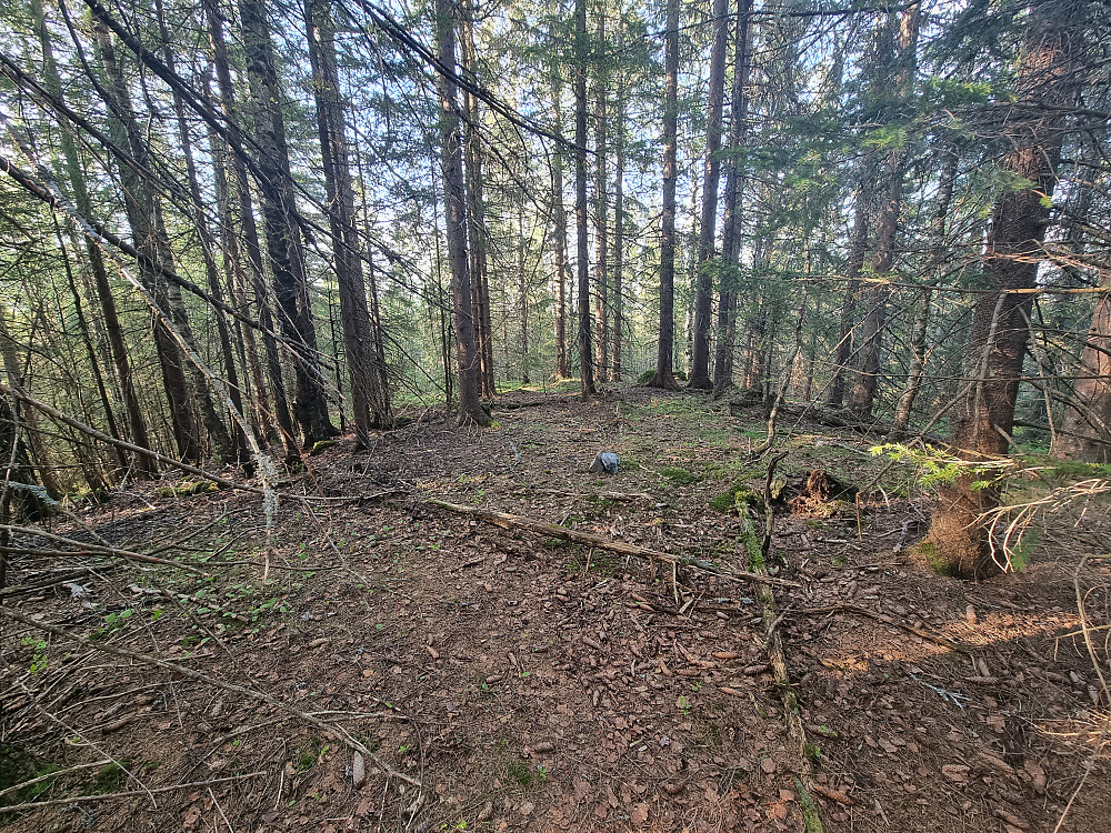 Gravsvollhøgda, som markert på kartet (424,9 moh.), litt bortenfor der Peakbook-toppen er markert. Førstnevnte ser ut til å være høyest.