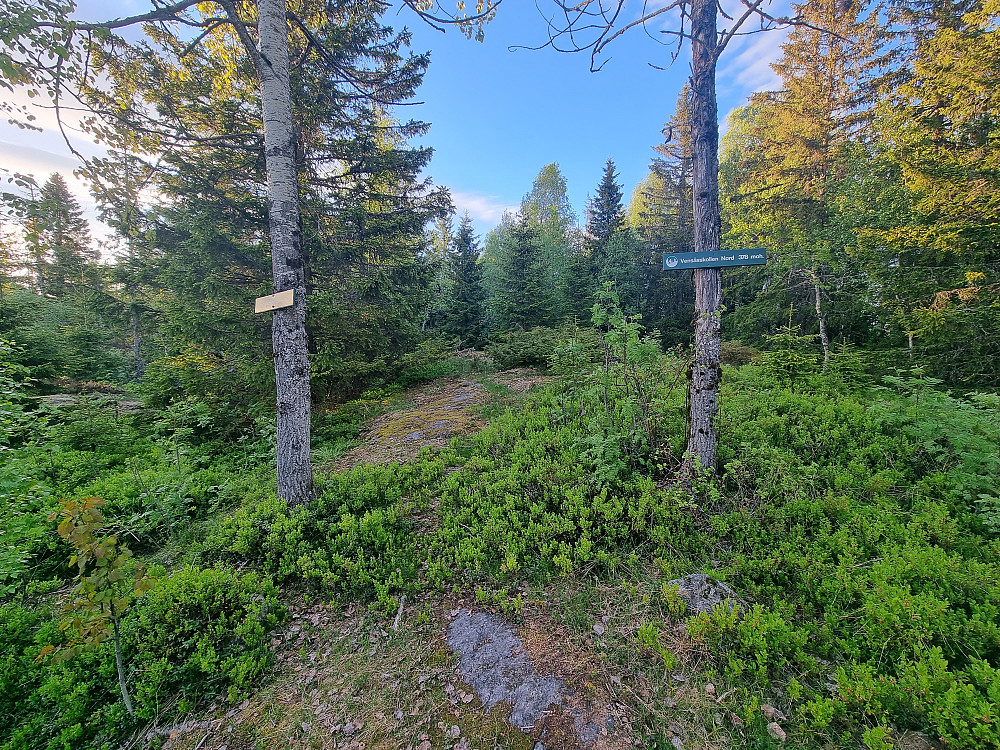 Skiltet til høyre sier "Vensåsskollen Nord 378 moh." (kanskje en s for mye?), mens det venstre skiltet sier "Vensåskollen 374 moh.". Én av høydene er trolig feil.