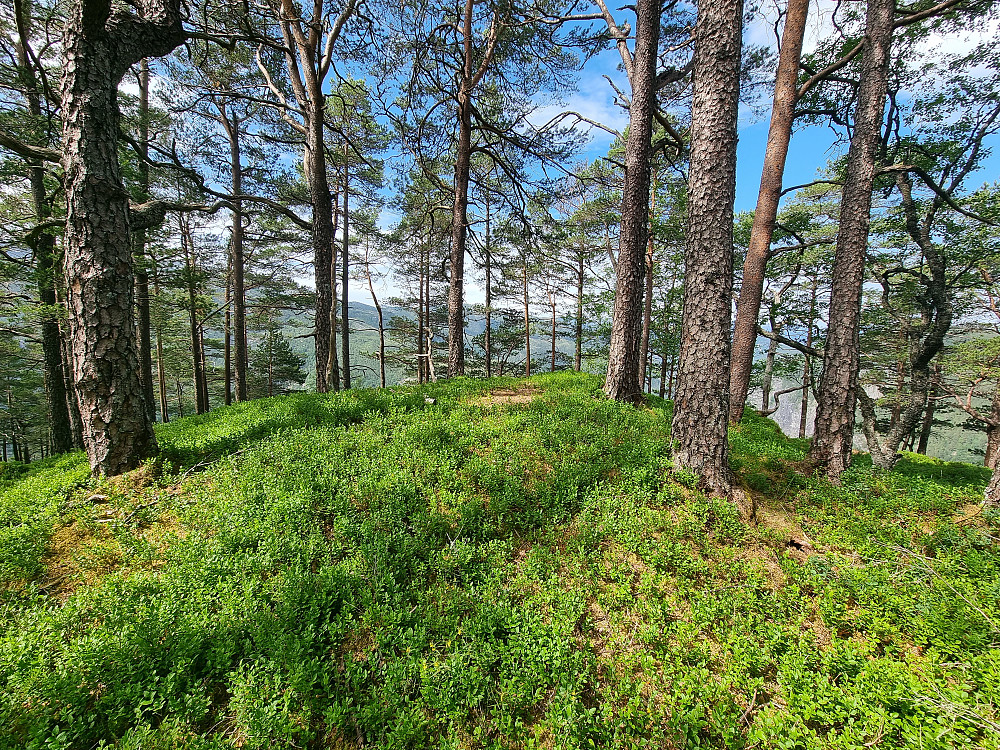 Toppen av Husafjellet.