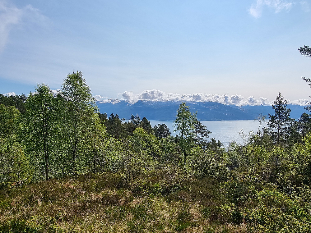 Fra Vikestølen mot Hissfjorden.