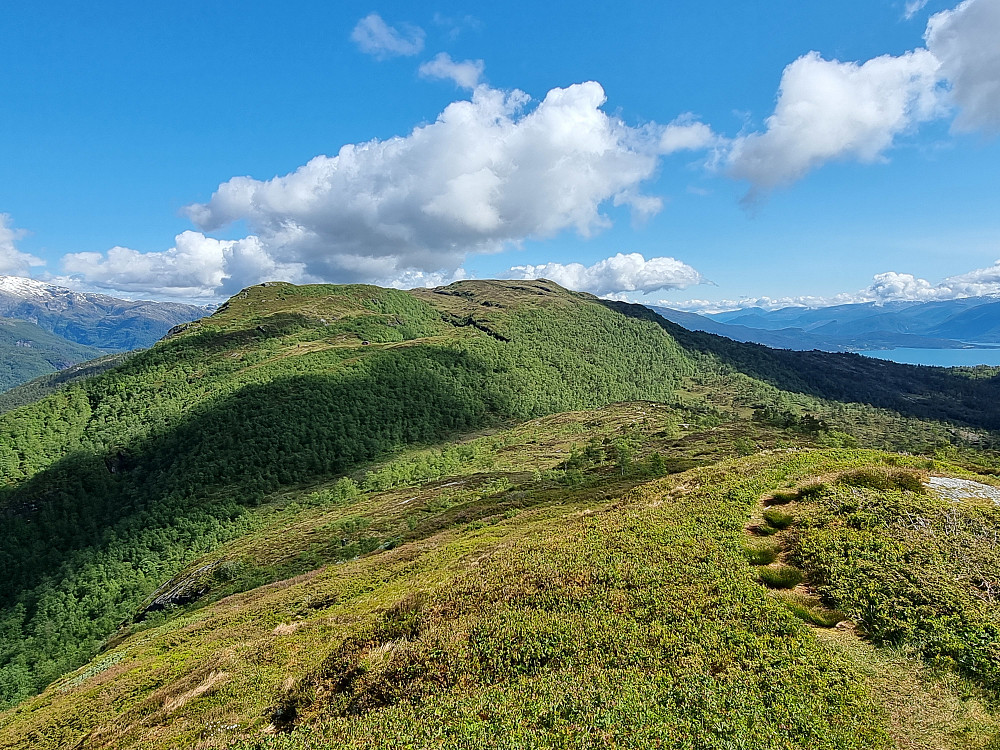 Fra Grånut mot nordøst. Helikenuten til venstre. Grønebergsfjellet til høyre for midten.