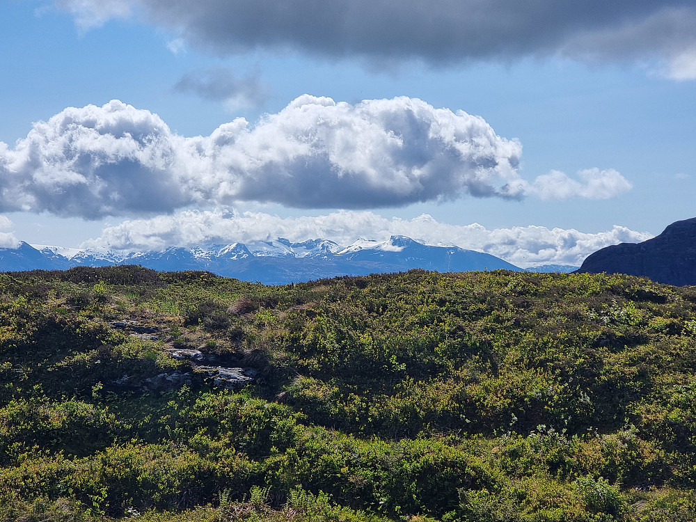 På vei til Grønebergsfjellet. Rosendalsalpene i bakgrunnen. Melderskin til høyre. Folgefonna skimtes helt til venstre.