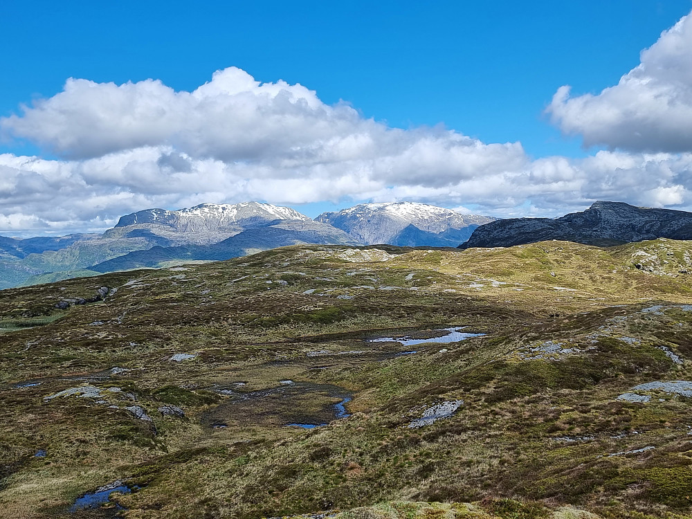 Fra Grønebergsfjellet mot nord. Bakerst Gjønakvitingen (venstre) og Tveitakvitingen. Daurmålsegga til høyre.