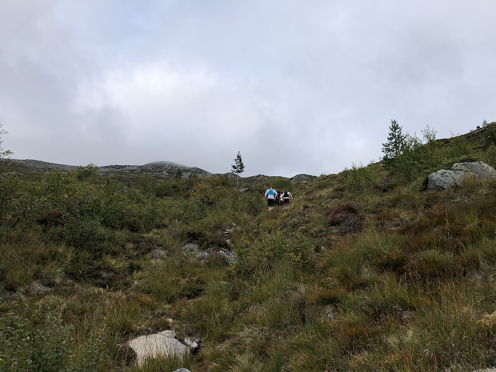 Over skoggrensa var det omtrent som å se kyr bli sluppet på beite om våren. På en - to - tre var folket på toppen - og jeg kunne nyte de begynnende flotte høstfargene for meg selv. Bikkja bryr seg ikke om farger….