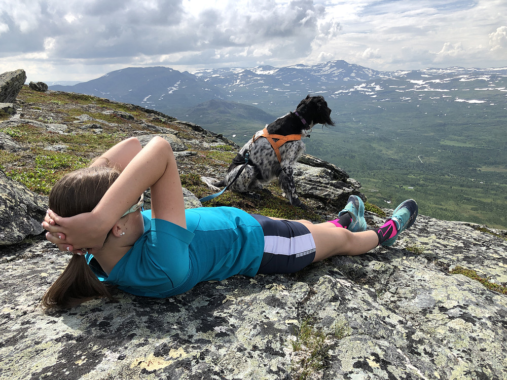 Toppen - Horja kikker på en anna Brattskarv en den hun er på.