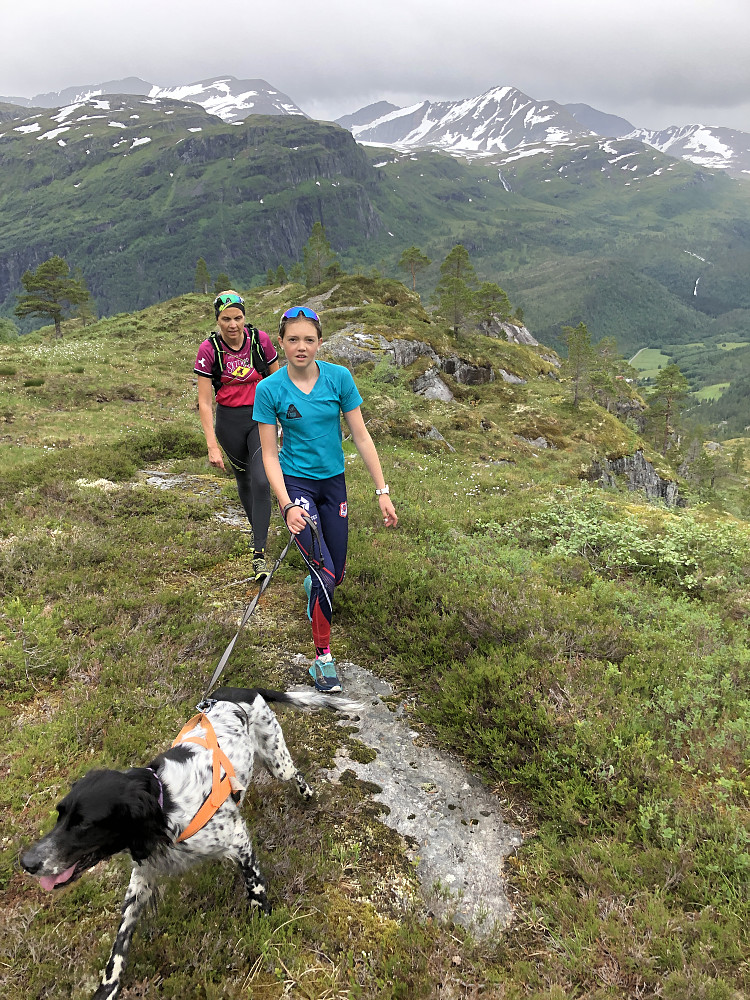 Grei sti fra fossen og opp til der furuskogen ikke vokser lengre. Da er der bare å holde myrflanken rett framover og sikte seg inn mot lia opp mot skaret etter hvert. Treff stien…..den treffer man litt lengre inn enn man tror, ca 600 moh.