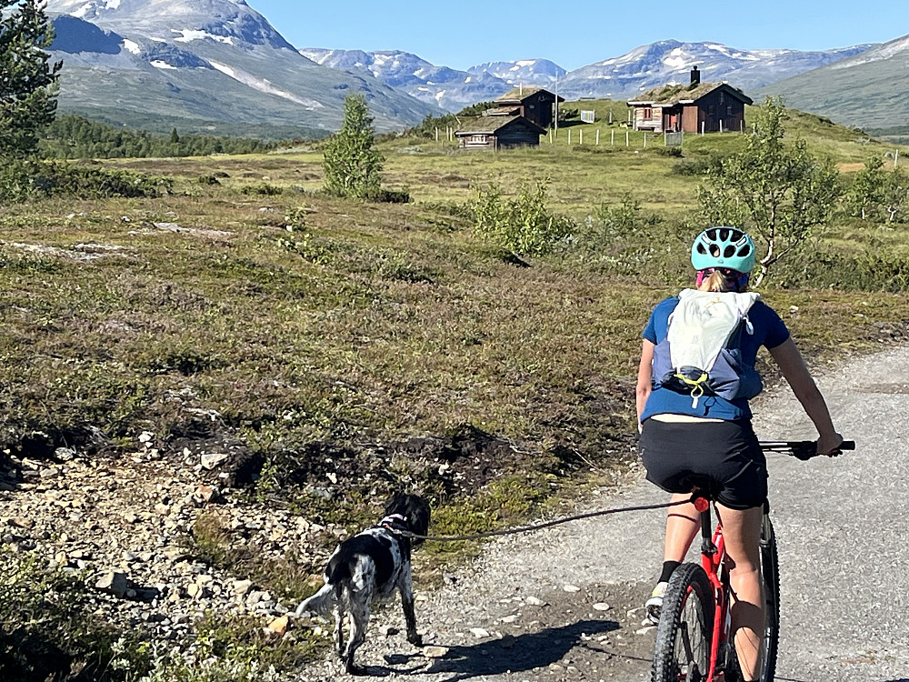 Inn Jøldalen på sykkel i 6 kilometer.