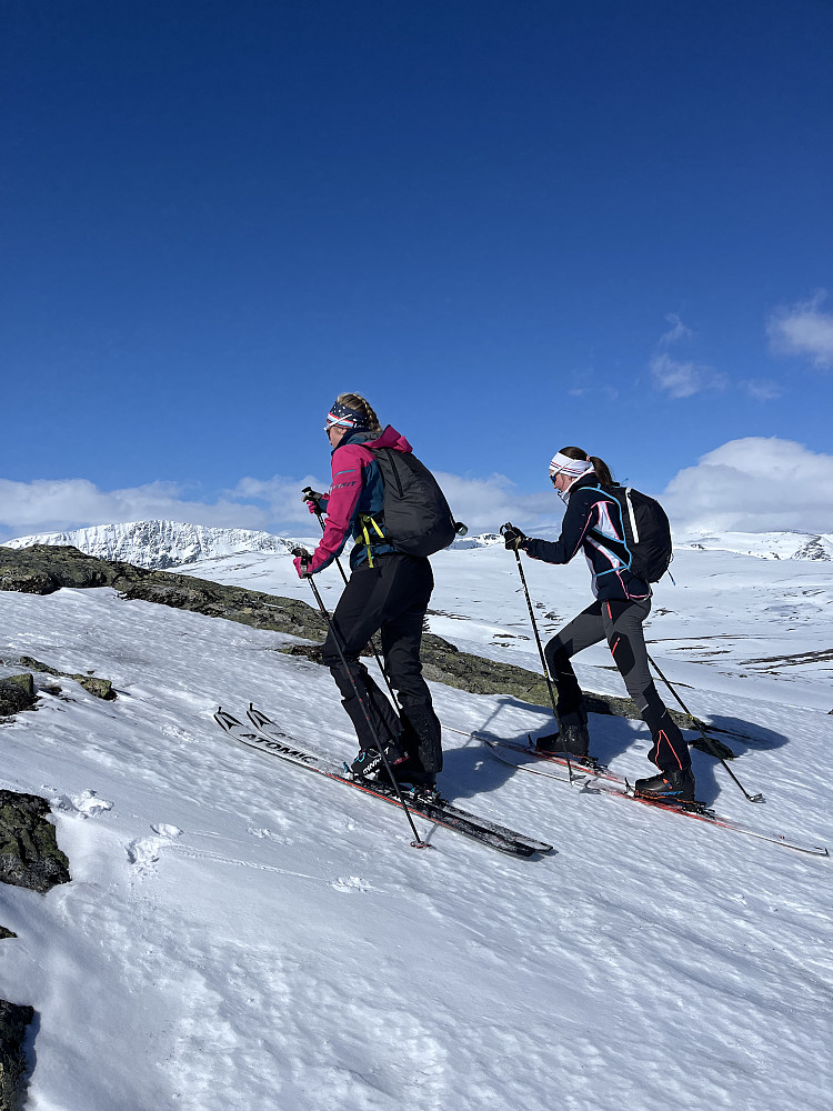 Svahøa 