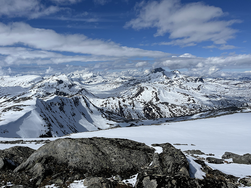 Snota
