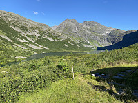 oddis_20220822_6303662504490.jpeg