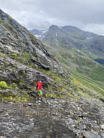oddis_20220822_63036647f124e.jpeg