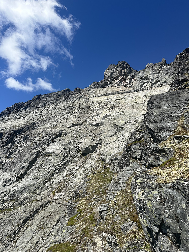 Renna under svaplaten