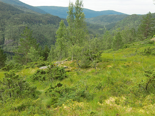 stølstuft 1: stølshus?