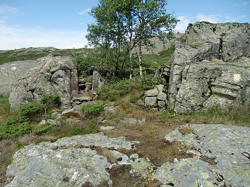 stølstuft 3: dyre skul?