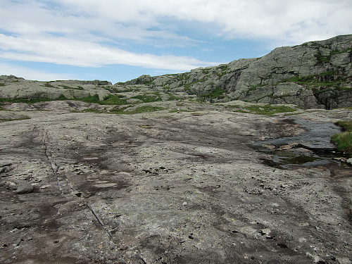 mot Fjellsnova