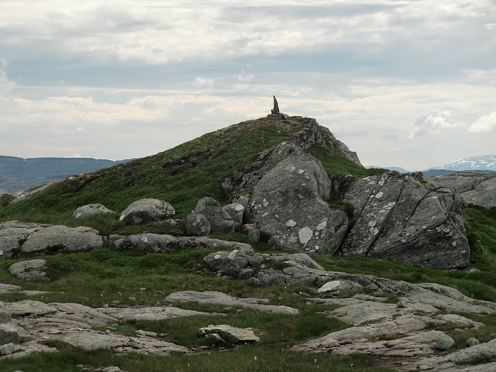 Fjellsnova