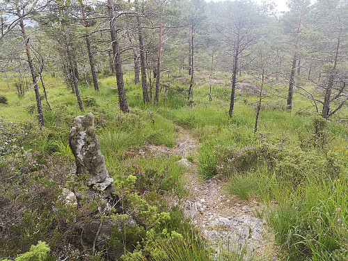 fine stier som delvis er vardet