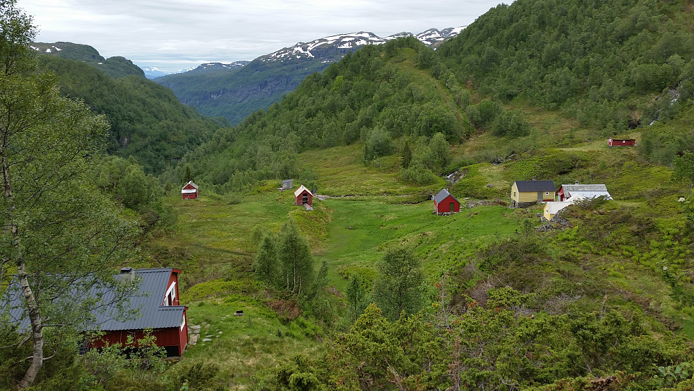Grønli