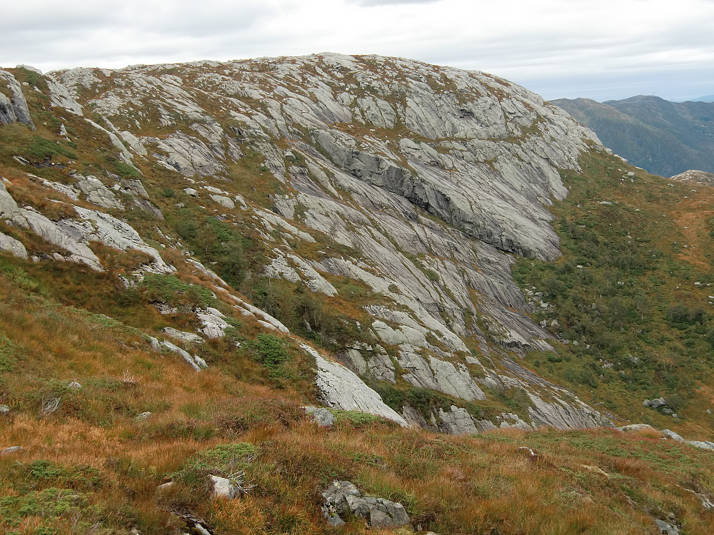 Steinfjellet sett fra lien på vei ned