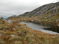 tjern 690
