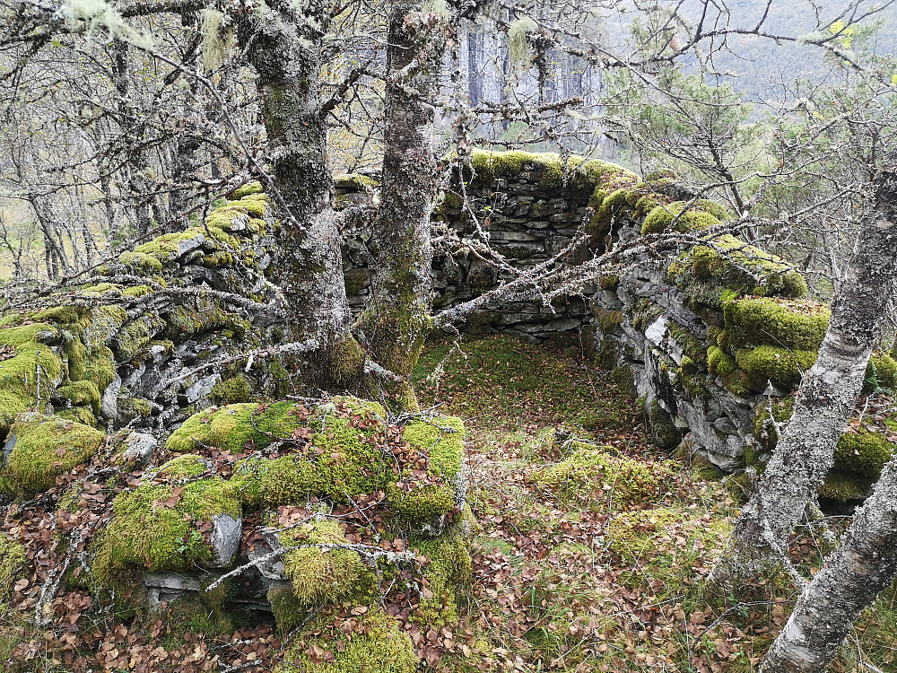 En av tuftene på Åsen