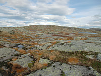 oppe på ryggen mot Blåfjellet