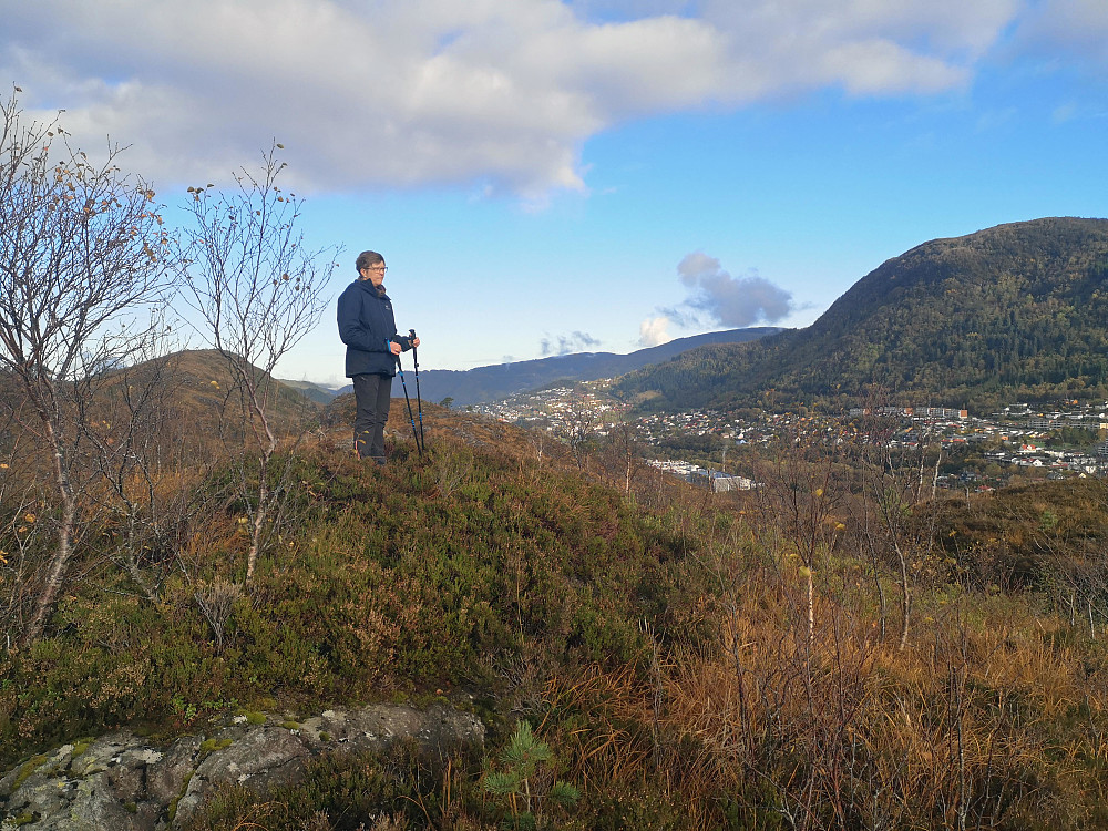 På Nedstadheia