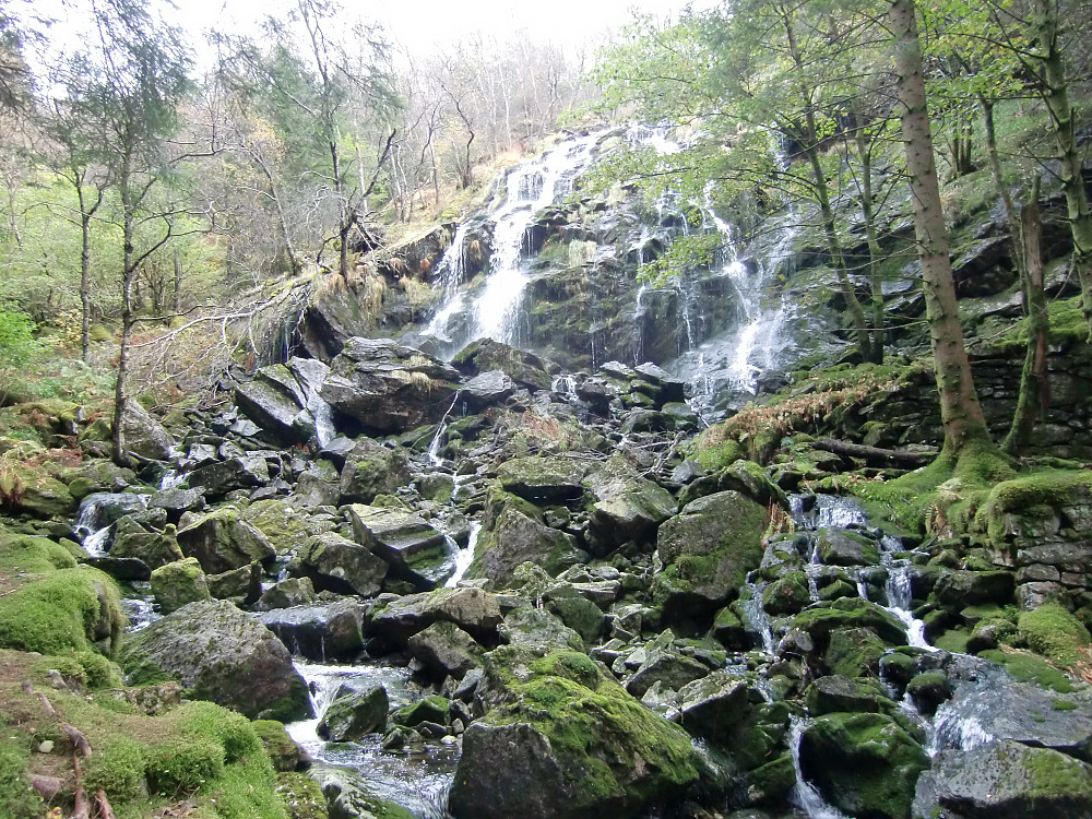 Bogstifossen
