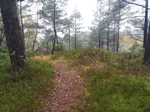 Storhaugen