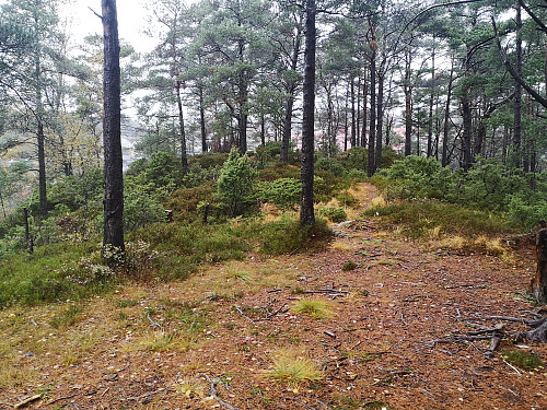 Storhaugen